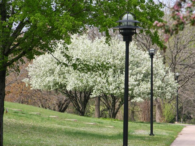 Photo of Independence Community College