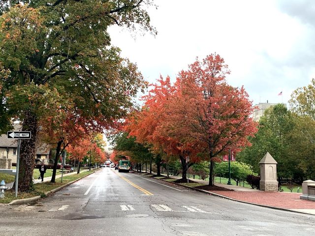 Photo of Indiana University-Bloomington