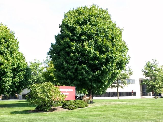 Photo of Indiana University-Kokomo