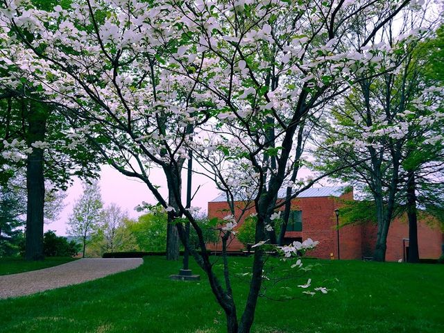 Photo of Indiana University-Southeast