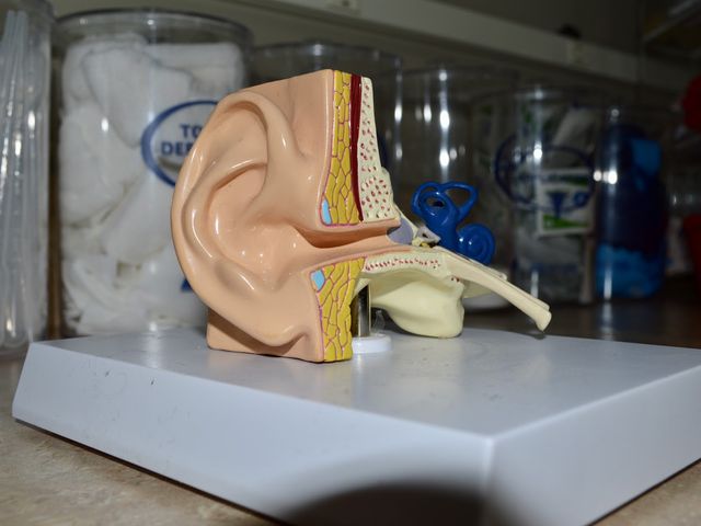 Photo of Institute of Medical Careers