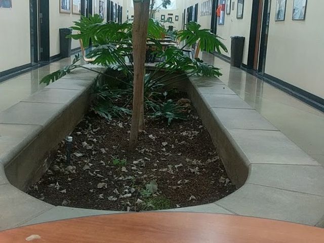 Photo of Institute of Technology