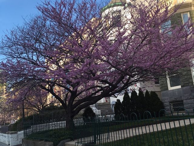 Photo of Institute of World Politics