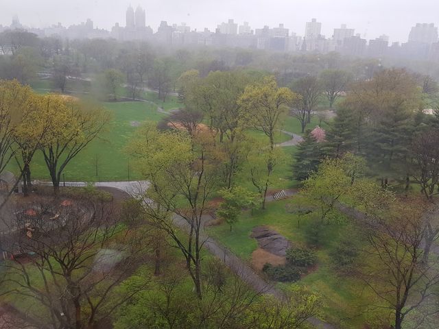 Photo of Icahn School of Medicine at Mount Sinai