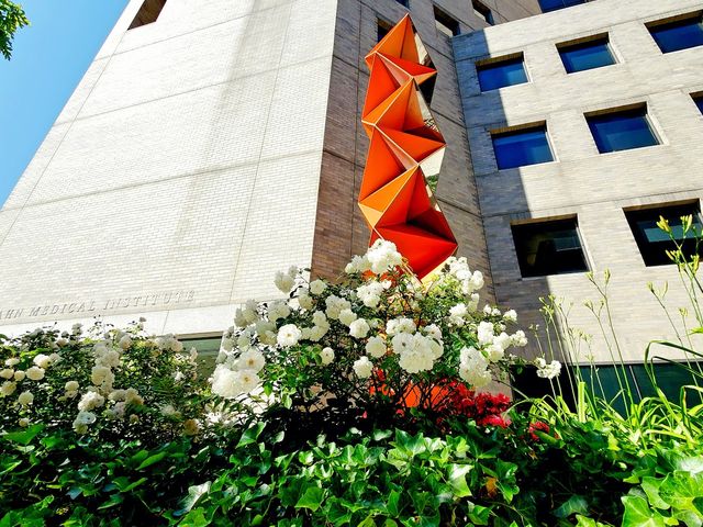 Photo of Icahn School of Medicine at Mount Sinai