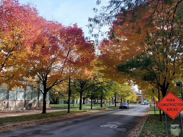 Photo of Illinois Institute of Technology