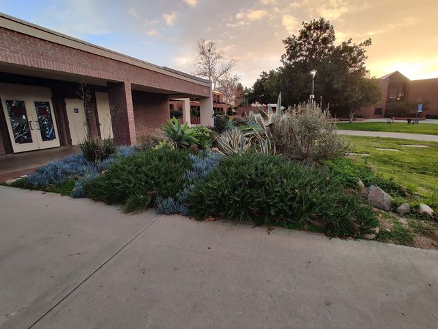 Photo of Irvine Valley College