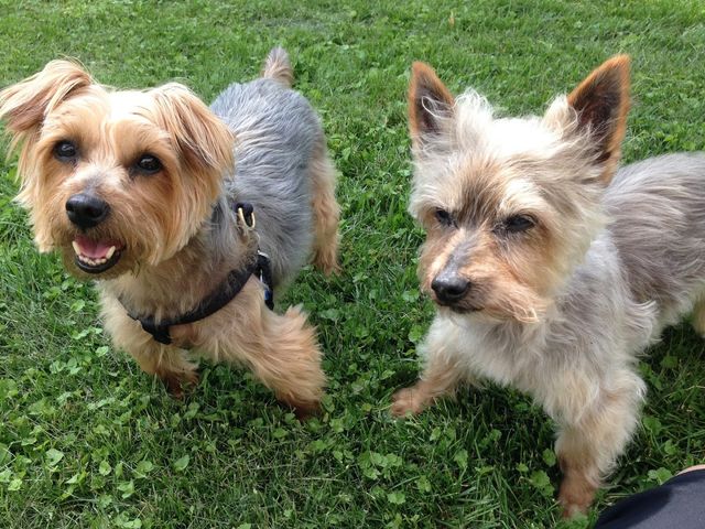 Photo of Irene's Myomassology Institute