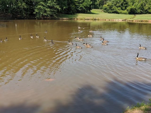 Photo of Isothermal Community College