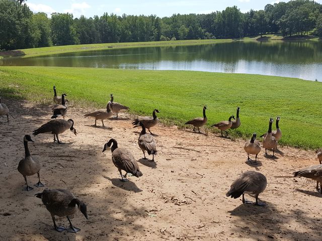 Photo of Isothermal Community College