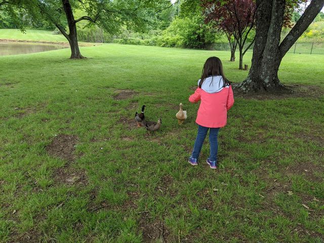 Photo of Isothermal Community College