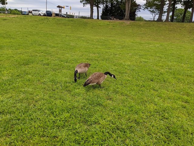 Photo of Isothermal Community College