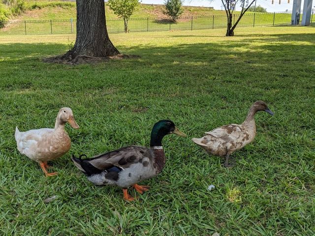 Photo of Isothermal Community College