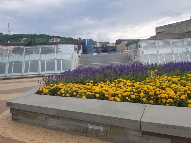 Photo of Ithaca College