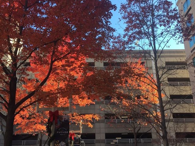 Photo of Johnson & Wales University-Charlotte