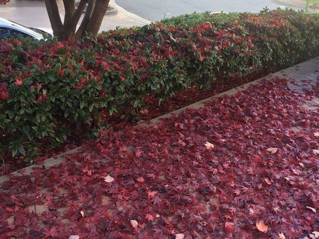 Photo of Johnson & Wales University-Charlotte