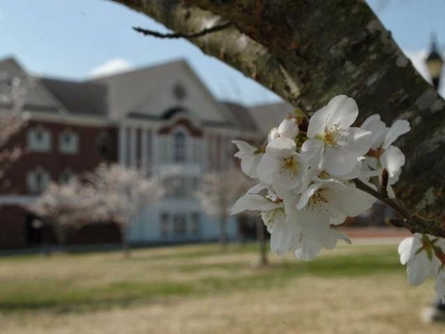 Photo of Johnson University
