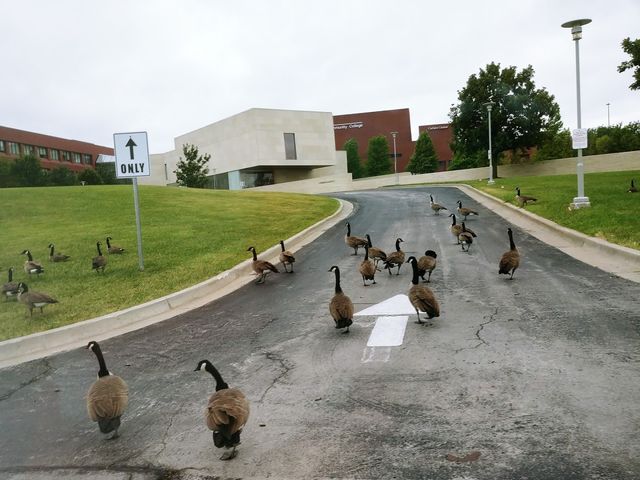 Photo of Johnson County Community College