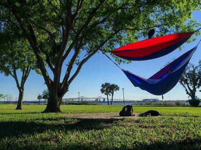 Photo of Jacksonville University