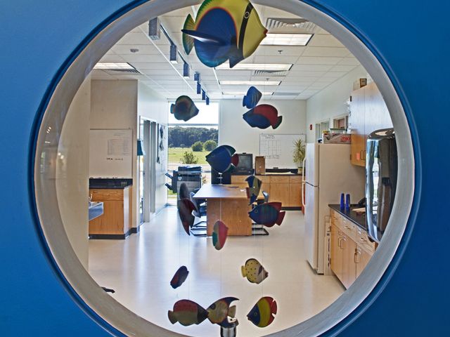 Photo of Jacksonville University