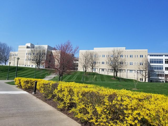 Photo of James Madison University