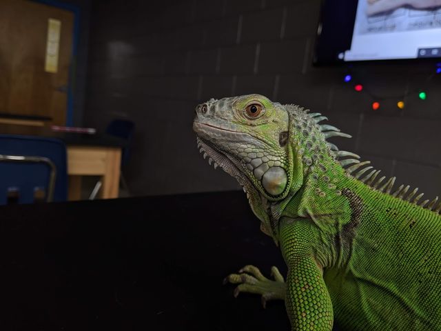 Photo of James Rumsey Technical Institute