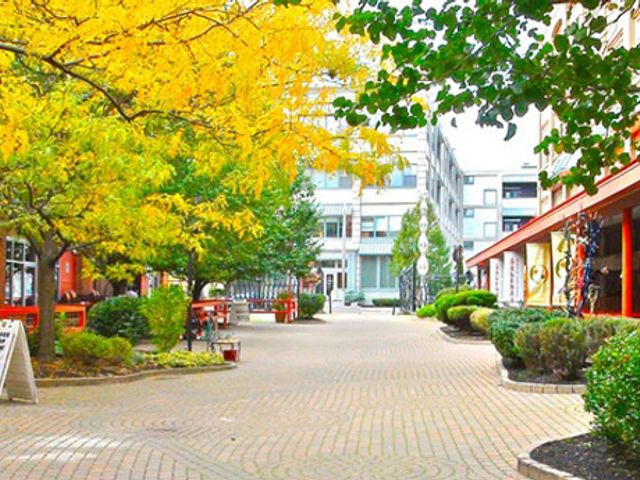 Photo of Onondaga School of Therapeutic Massage-Rochester