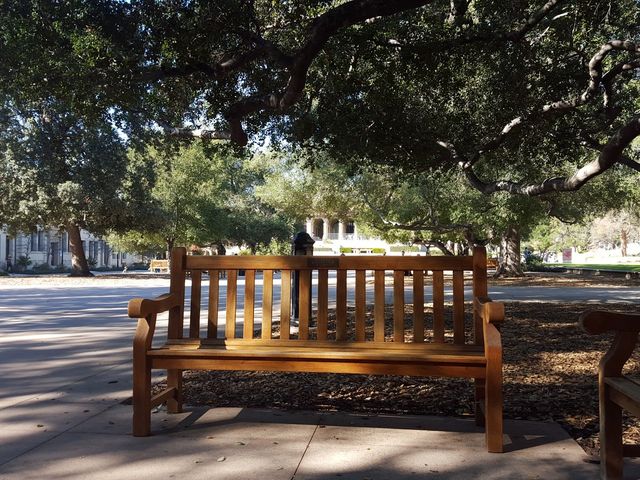 Photo of Occidental College