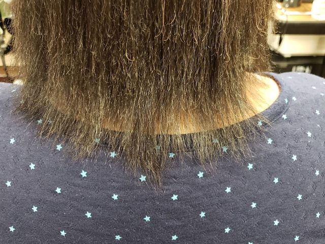 Photo of Ogle School Hair Skin Nails-Arlington