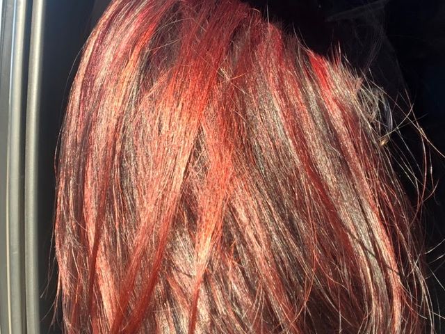 Photo of Ogle School Hair Skin Nails-San Antonio