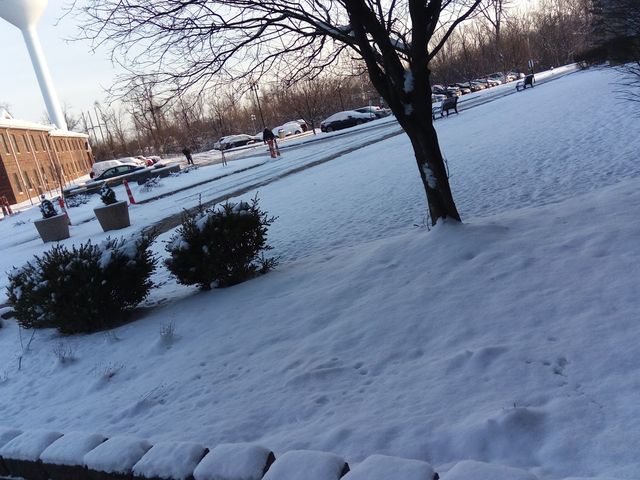 Photo of Ohio Valley University