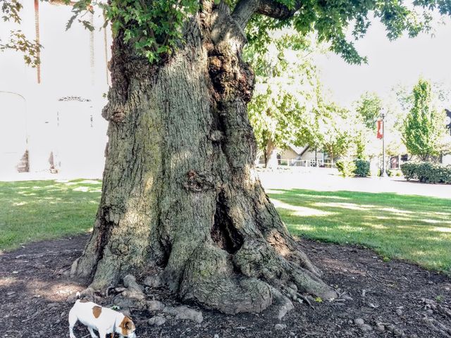 Photo of Ohio Wesleyan University