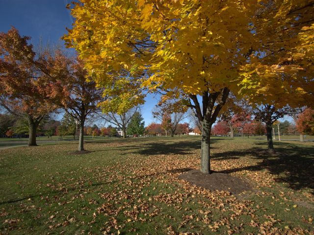 Photo of Ohio Northern University