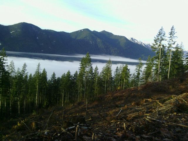 Photo of Olympic College