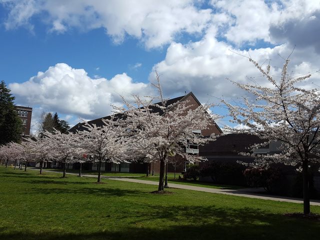 Photo of Olympic College