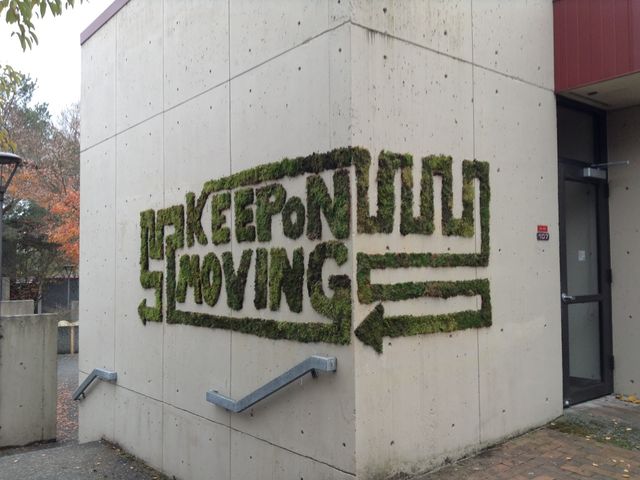 Photo of Olympic College