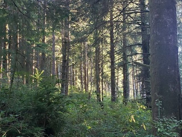 Photo of Oregon Coast Community College