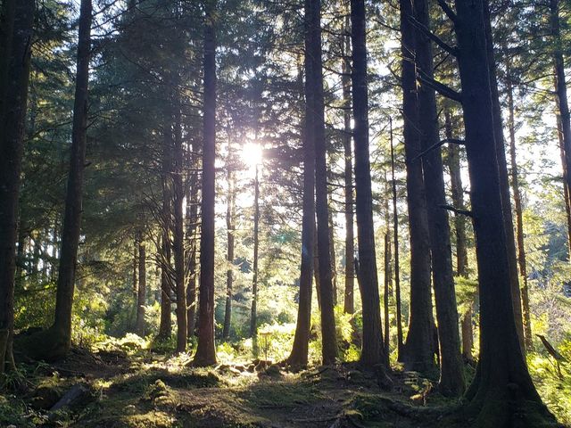 Photo of Oregon Coast Community College