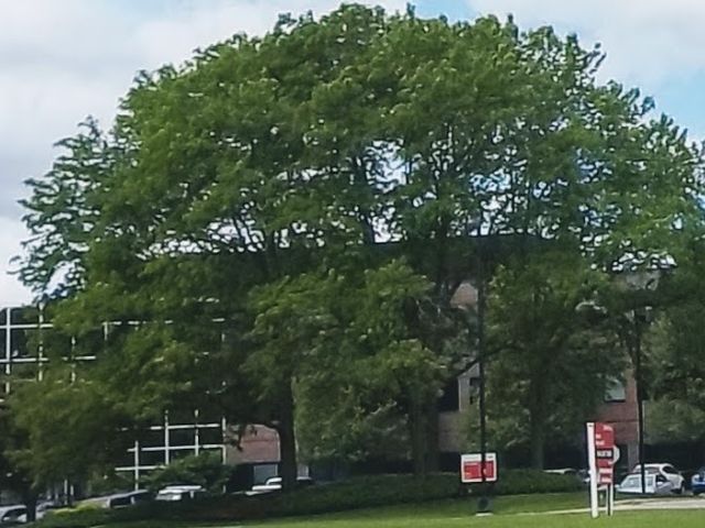 Photo of Ottawa University-Milwaukee