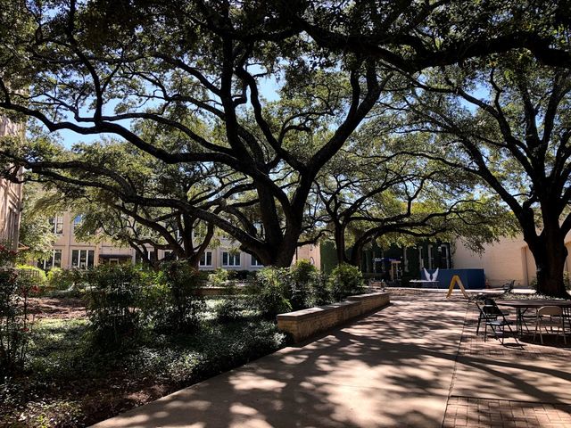 Photo of Our Lady of the Lake University