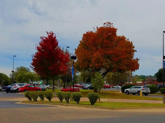Photo of Ozarks Technical Community College