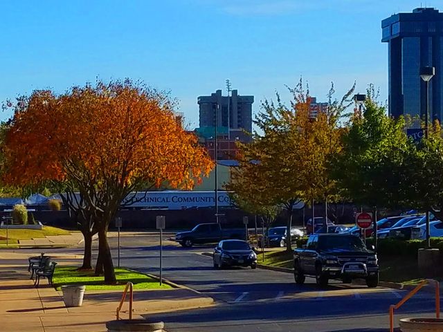 Photo of Ozarks Technical Community College
