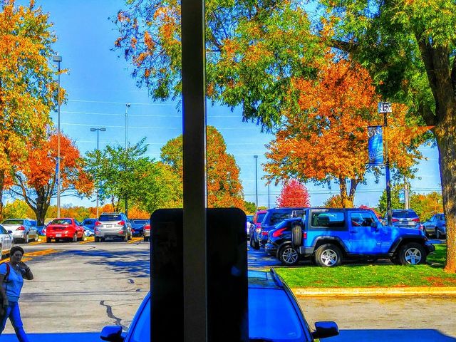 Photo of Ozarks Technical Community College