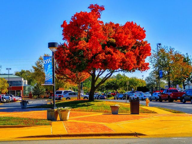 Photo of Ozarks Technical Community College