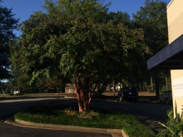 Photo of Lotus School of Integrated Professions