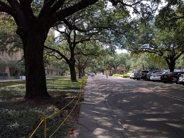 Photo of Louisiana State University and Agricultural & Mechanical College