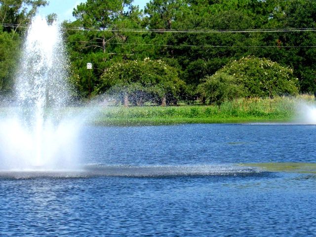 Photo of Louisiana State University-Alexandria