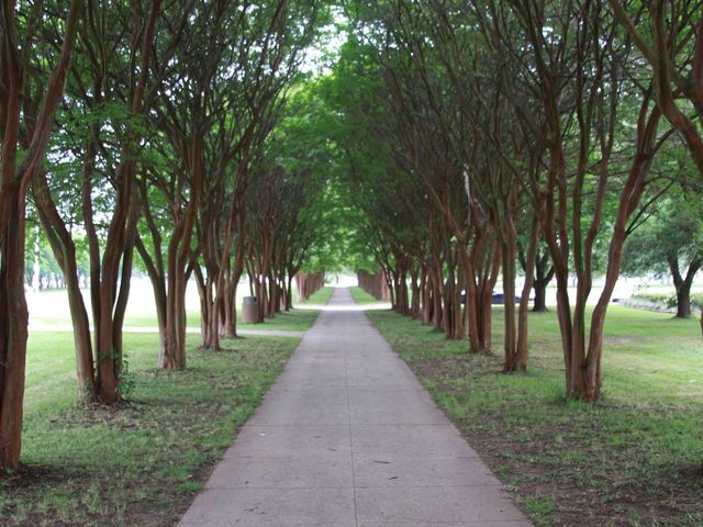 Photo of Louisiana State University-Shreveport