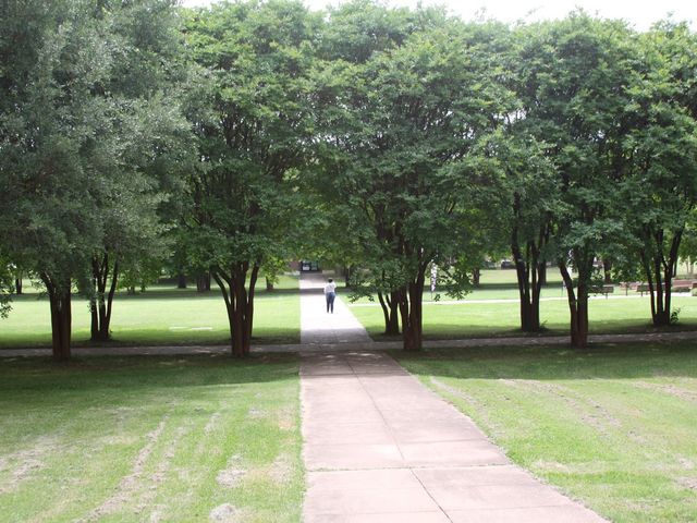 Photo of Louisiana State University-Shreveport