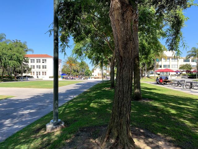 Photo of Loyola Marymount University